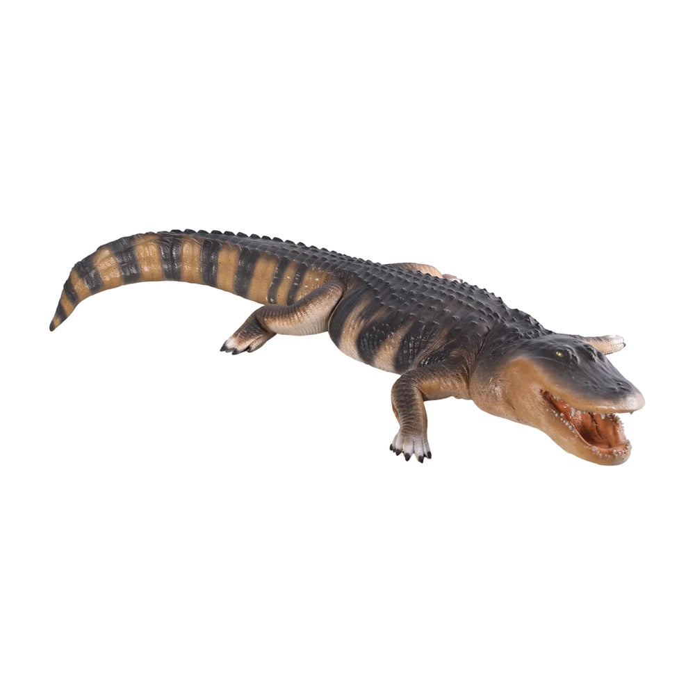 American Alligator 8ft. (Not in Aus)