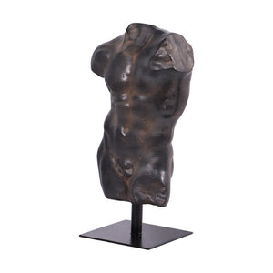 Andrea Male Torso