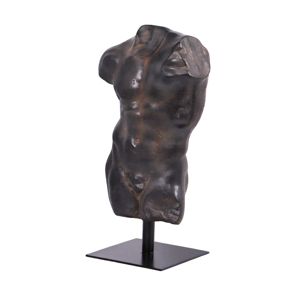 Andrea Male Torso