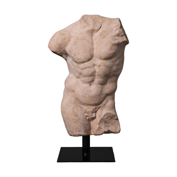 Andrea Male Torso