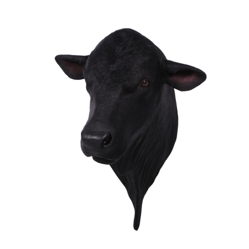 Angus Bull Shoulder Mount (not in AUS&NZ)