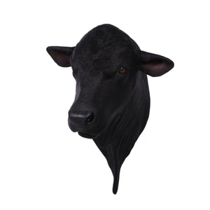 Angus Bull Shoulder Mount (not in AUS&NZ)