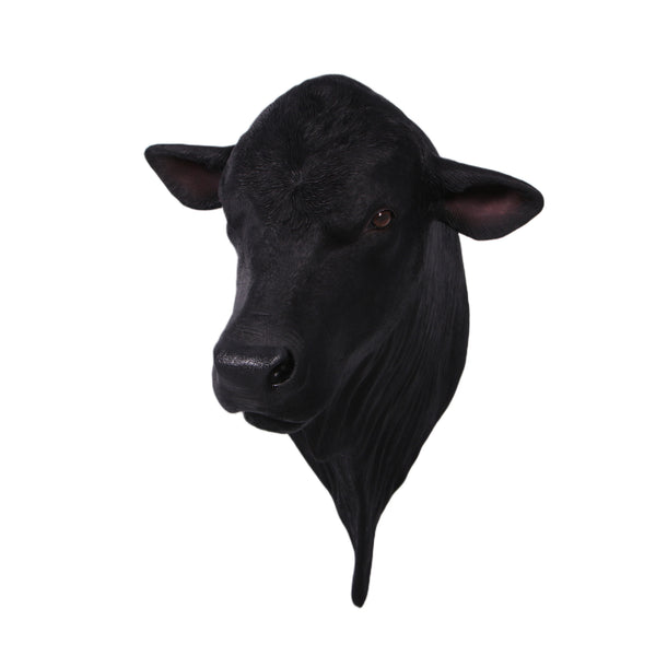 Angus Bull Shoulder Mount (not in AUS&NZ)