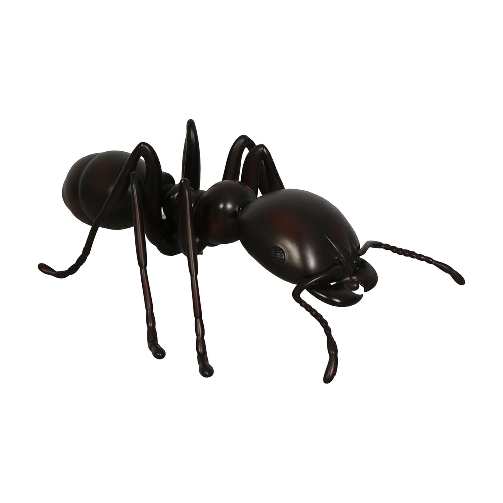 Ant 4ft