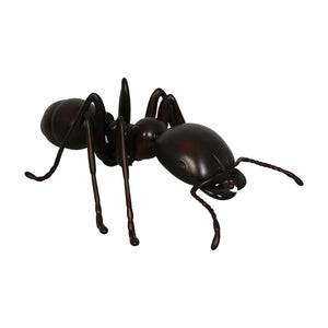 Ant 4ft