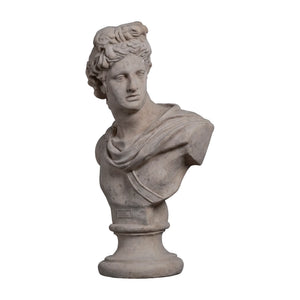 Apollo Bust