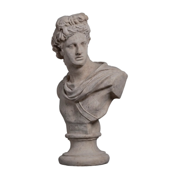 Apollo Bust