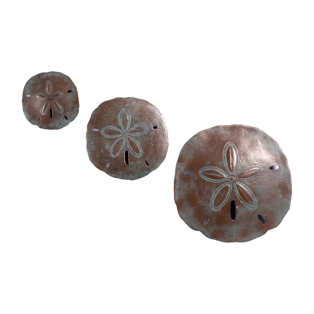 Assorted Sand Dollars (Set Of 3)