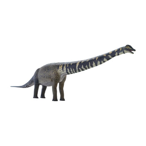 Australotitan - Gelcoat Version