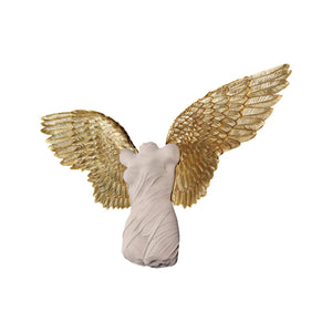 Azaz Angel - Small ( Not In Europe)