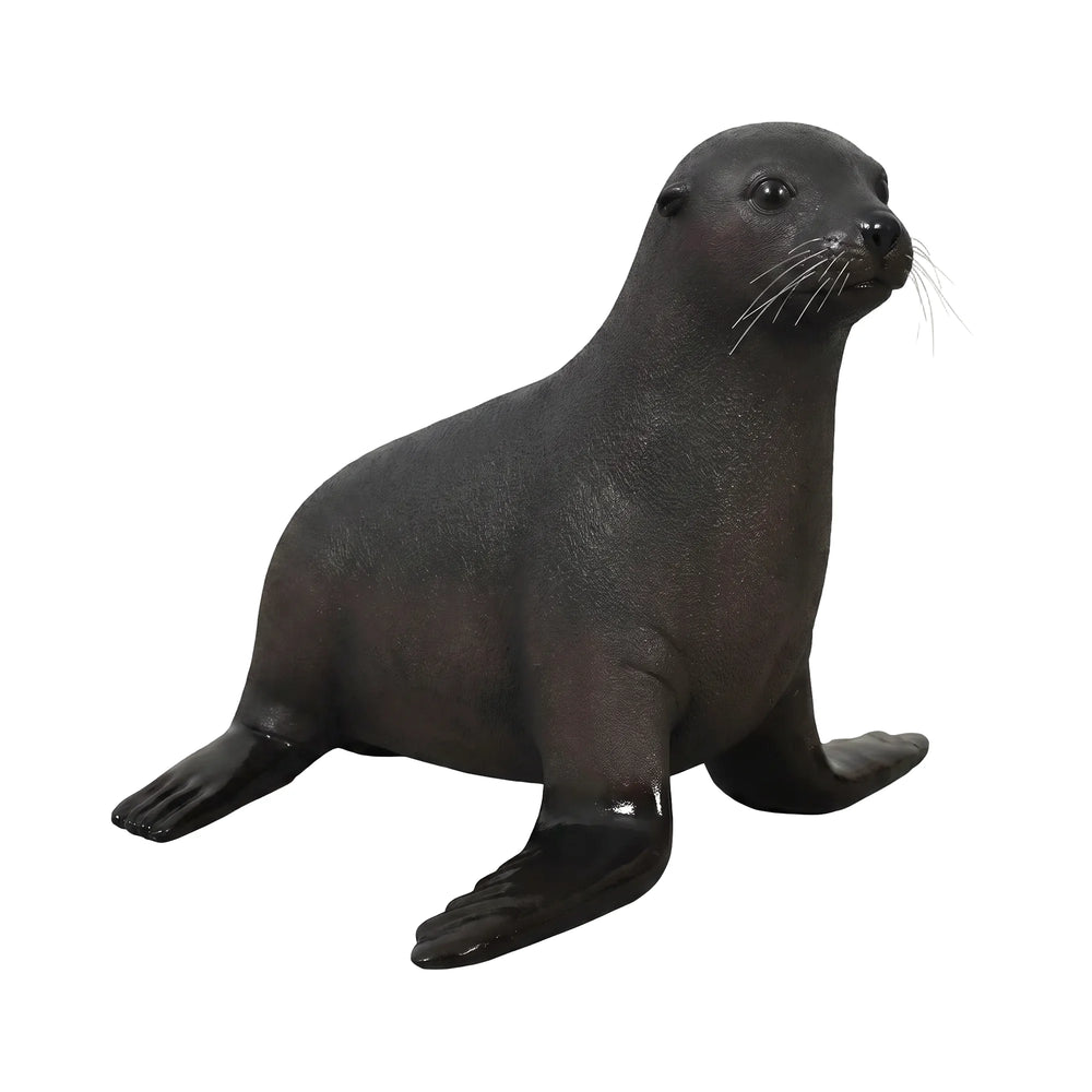 Baby Fur Seal (Not in Aus)