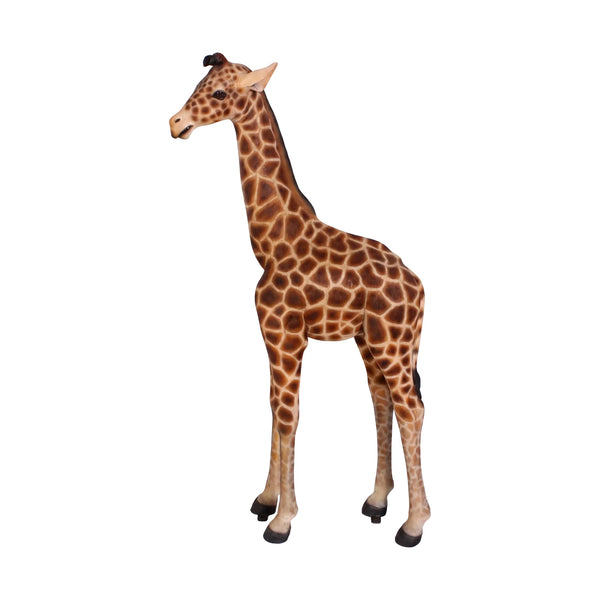 Baby Giraffe 6ft. (not in Aus)