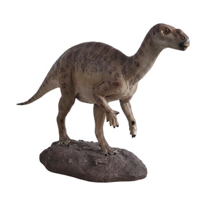 Baby Iguanodont (Not In Aus)