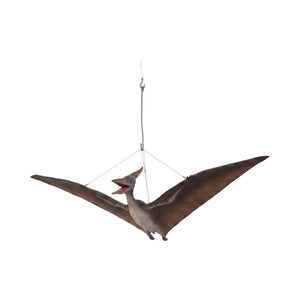 Baby Pteranodon (Not In Aus)