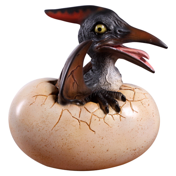 Baby Pteranodon Hatching (Not In Aus)