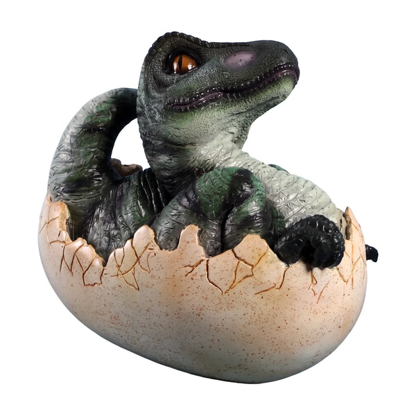 Baby T-Rex Hatching (Not In Aus)