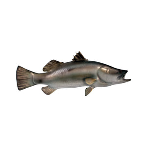 Barramundi (Not in Aus)