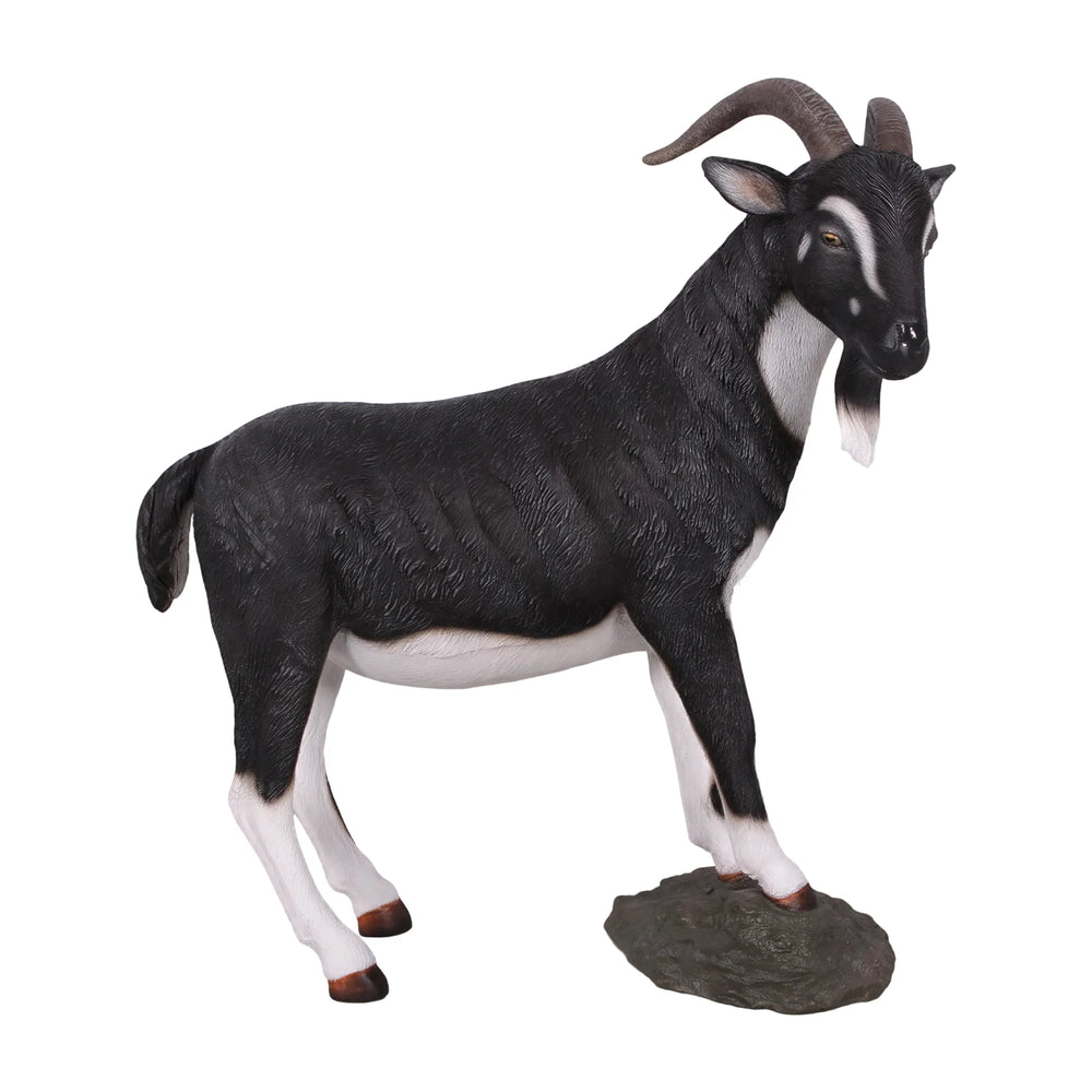 Billy Goat (not in AUS)
