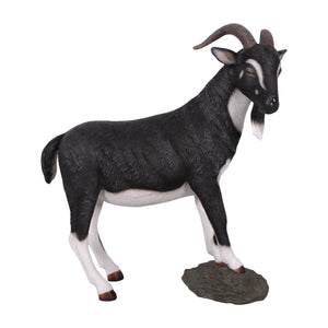 Billy Goat (not in AUS)