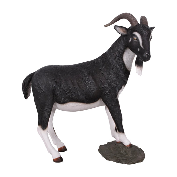 Billy Goat (not in AUS)