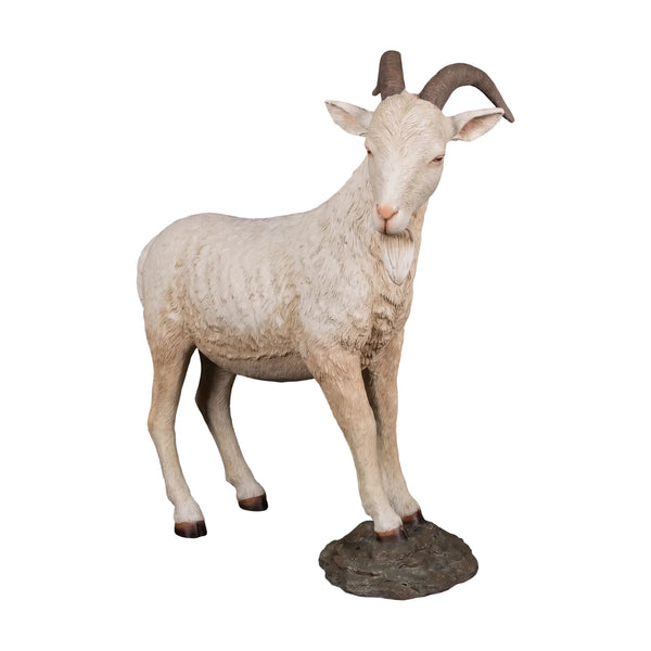 Billy Goat (not in AUS)