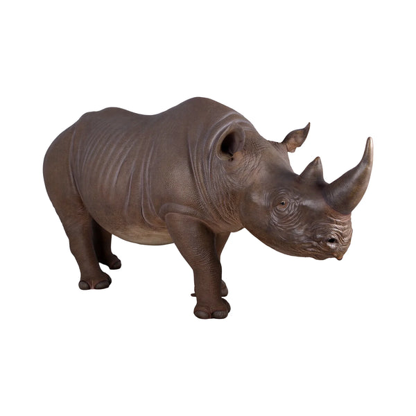 Black Rhinoceros