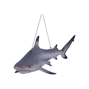 Black Tip Reef Shark (Not in Aus)