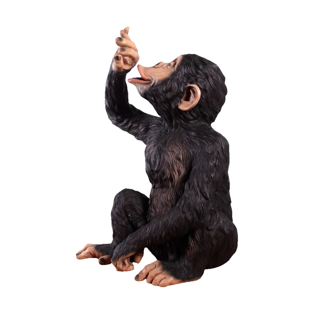 Boozy Chimp Bottle Holder