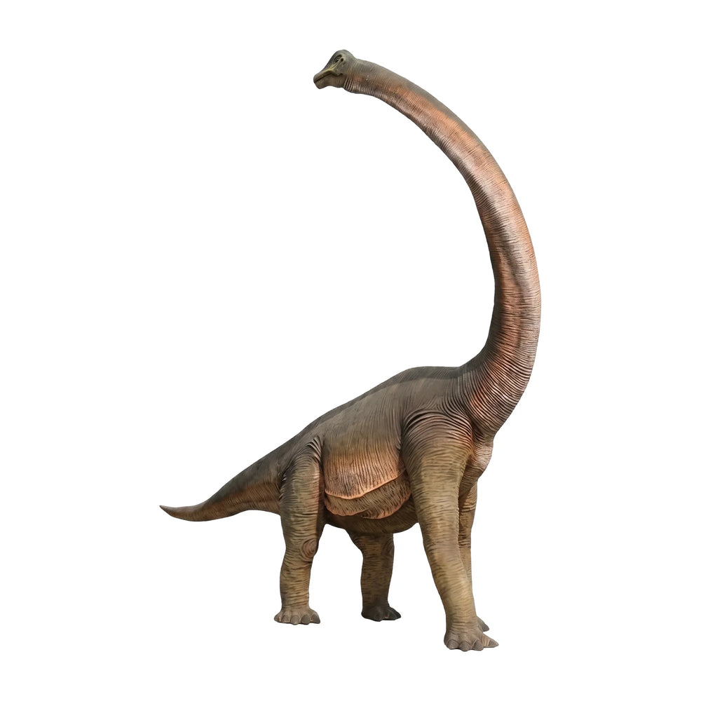 Brachiosaurus With Twisted Neck