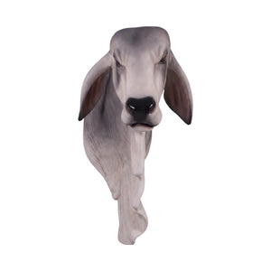Brahman Shoulder Mount (Not In Aus/Nz)