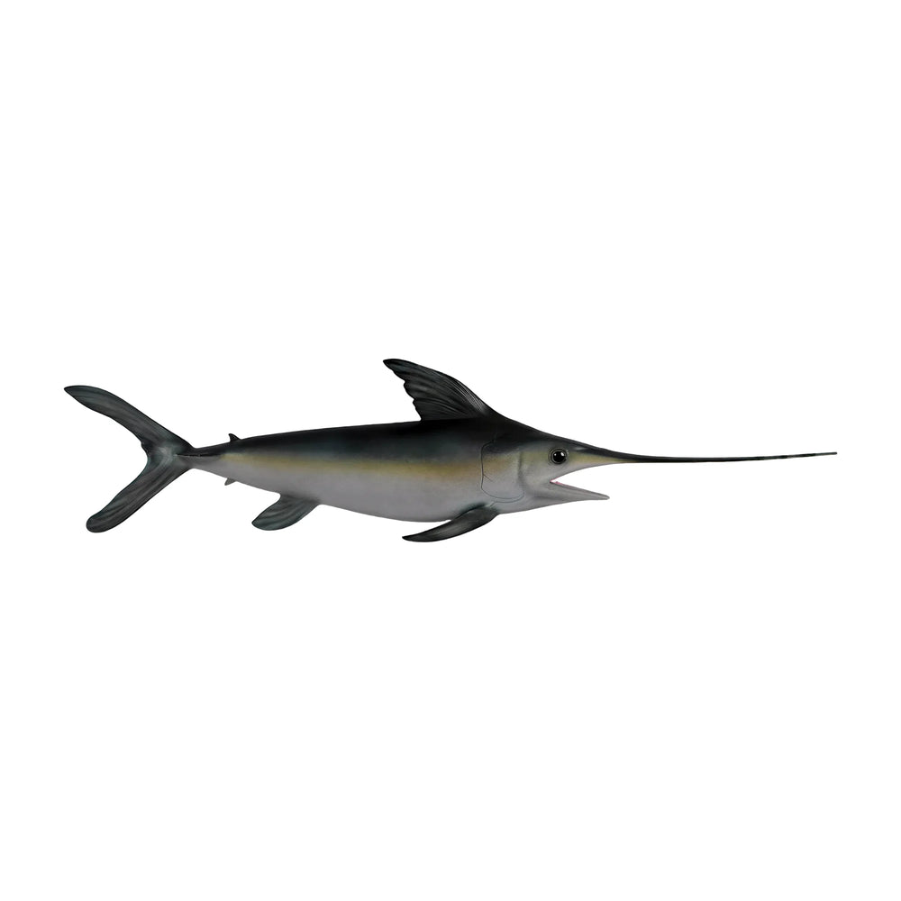 Broadbill Swordfish (Not in Aus)