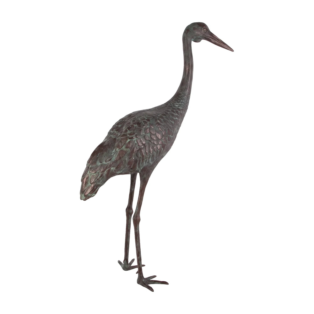 Brolga Crane (Not in Aus)