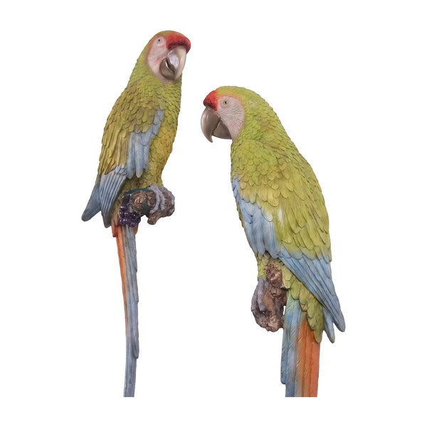 Buffon's Macaws 70cm - set of 2 (Not in AUS/NZ)