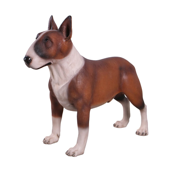 Bull Terrier (not in AUS&NewZealand)