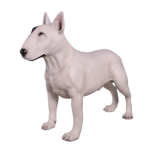 Bull Terrier (not in AUS&NewZealand)