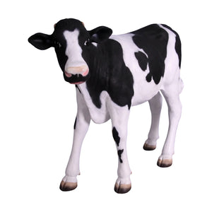 Calf Life Size