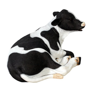 Calf - Lying Down
