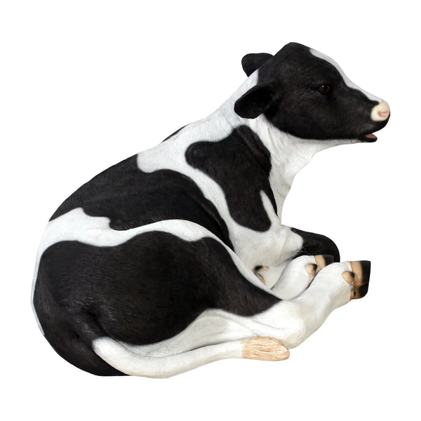 Calf - Lying Down