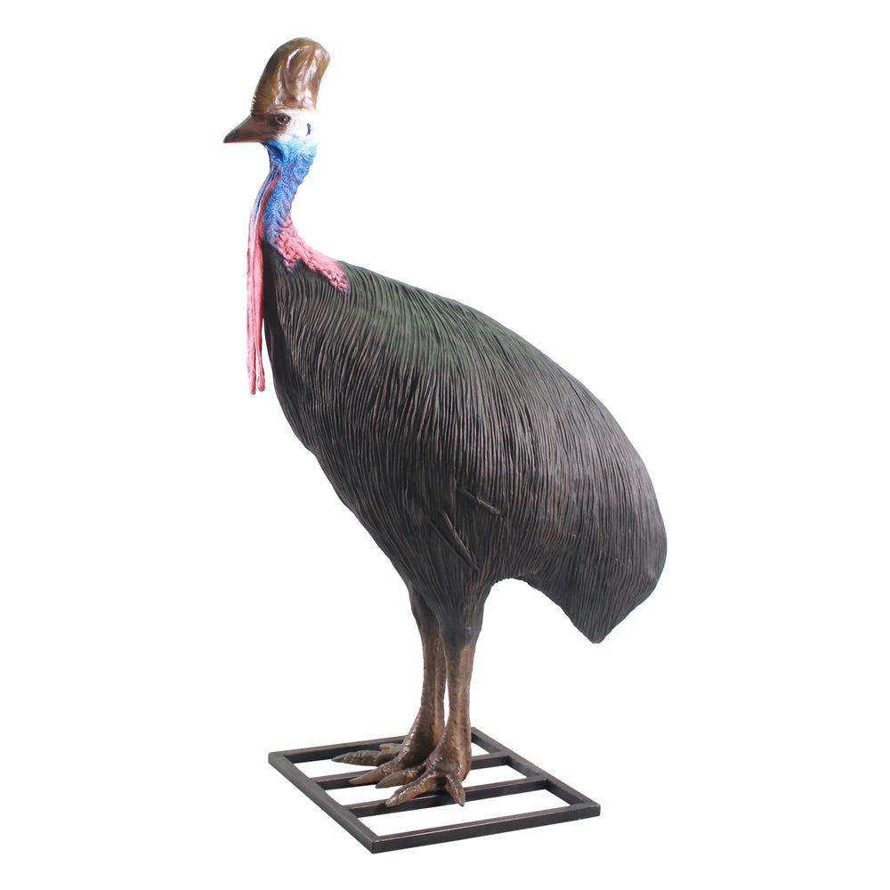 Cassowary Female (Not in Aus)
