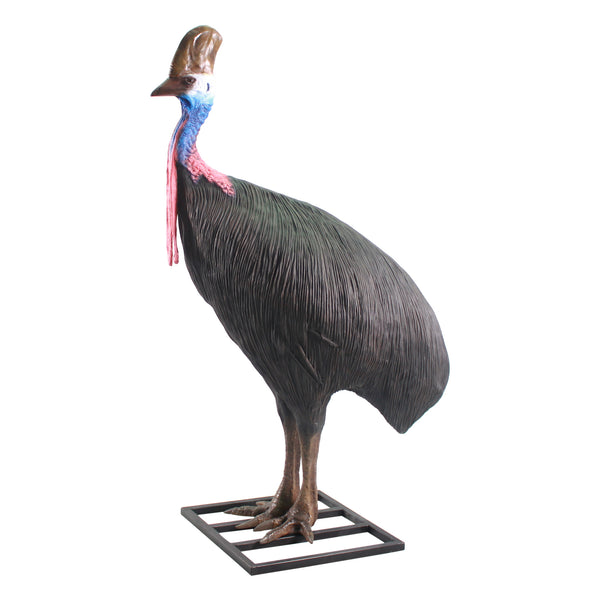 Cassowary Female (Not in Aus)