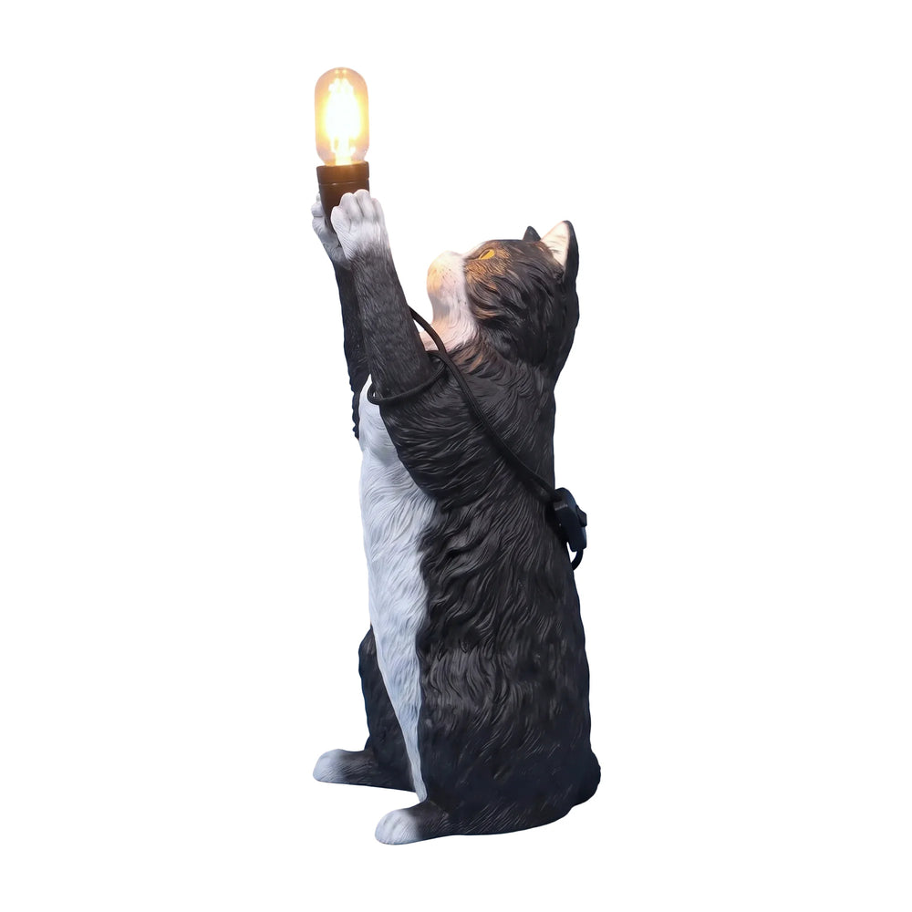 Cat Table Lumiere