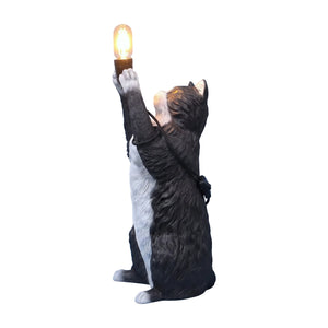 Cat Table Lumiere