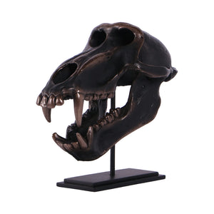 Chacma Baboon Skull on Base