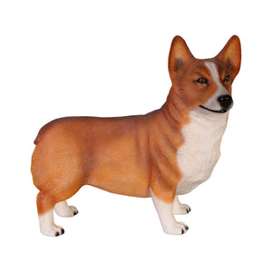 Corgi Dog - Standing (not in UK)