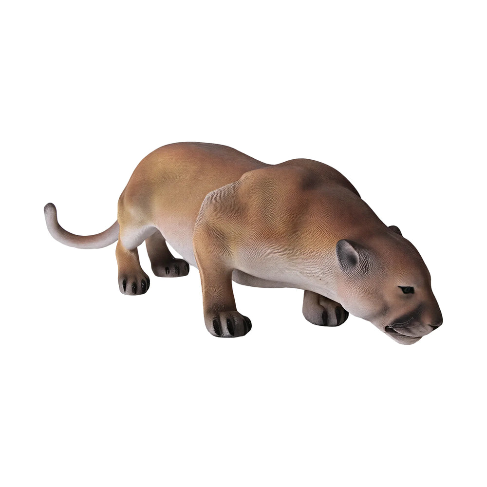 Cougar (Not in AUS)