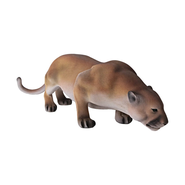 Cougar (Not in AUS)