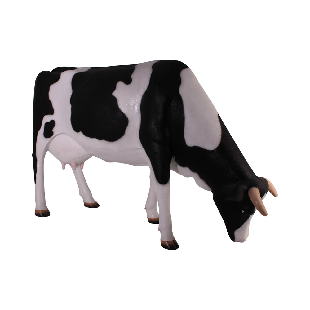 Cow Grazing
