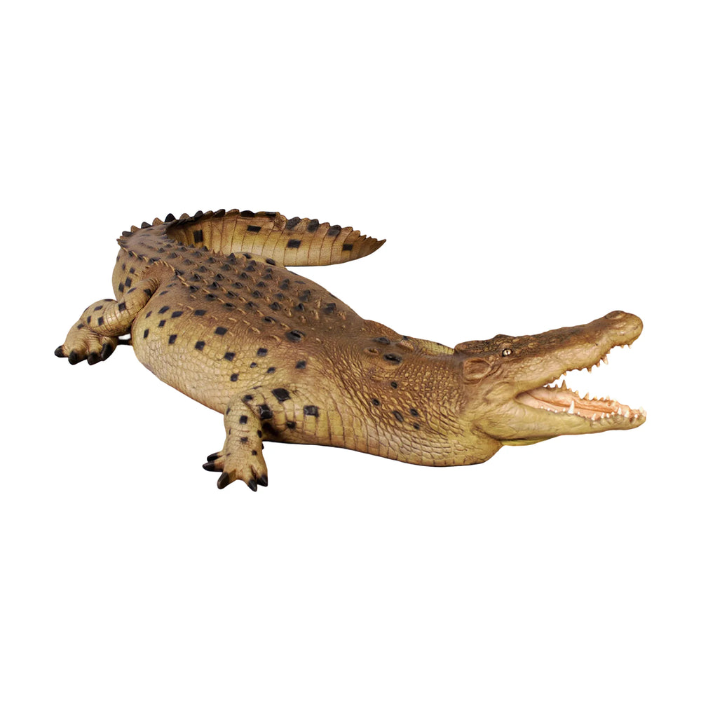 Crocodile 12ft. - Mouth Open (not in AUS)