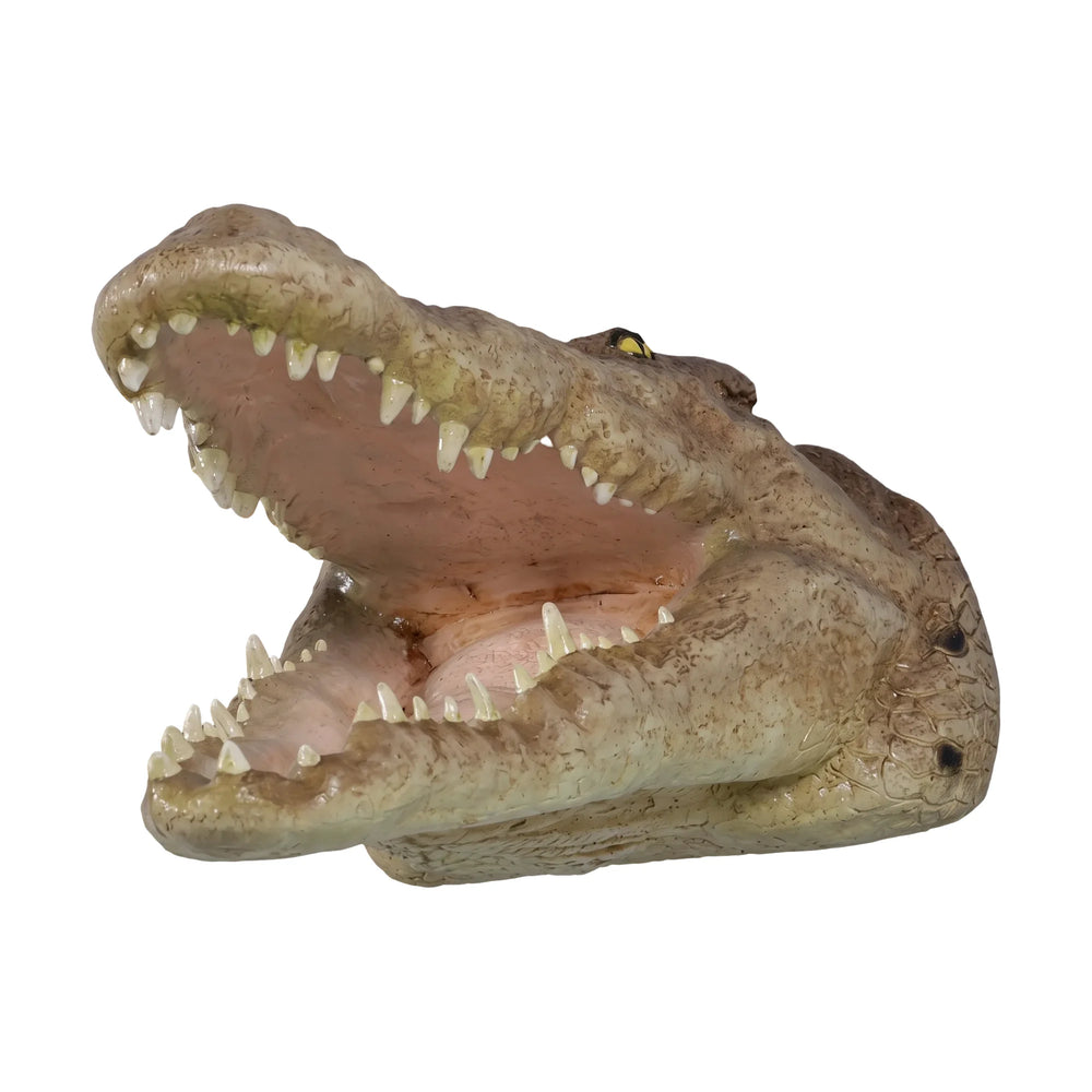 Crocodile Head - Mouth Open Wall Decor