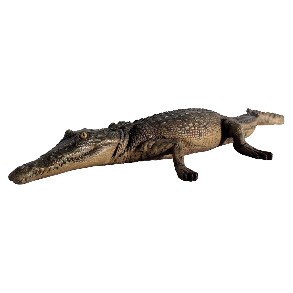 Crocodile Resting 4ft. (Not in Aus)